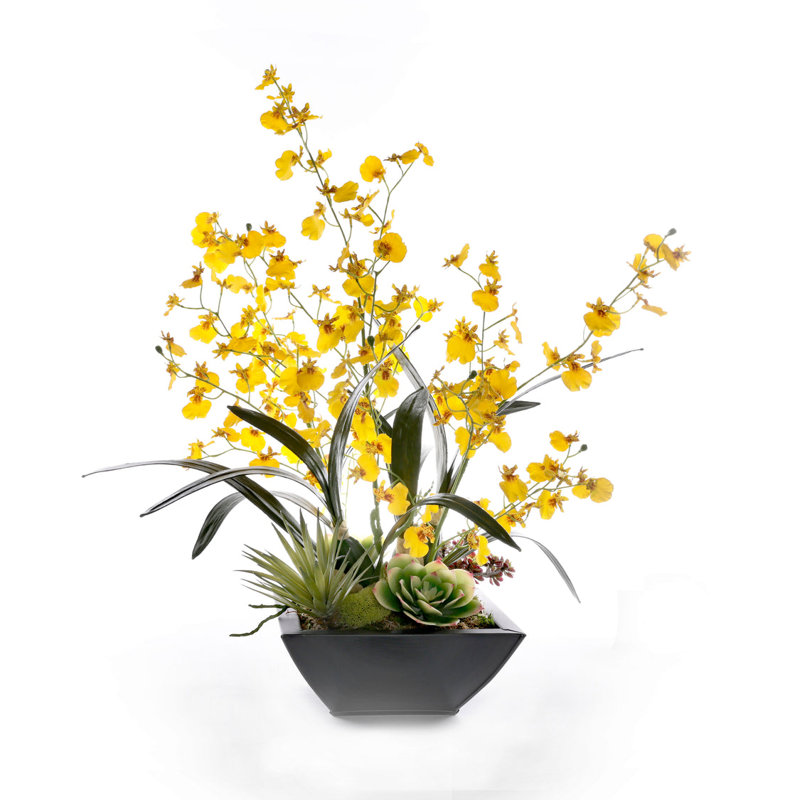 Yellow Oncidium Orchid Flower Arrangement in Zinc Metal Pot