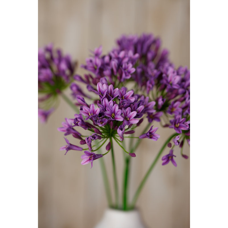 Arrangement