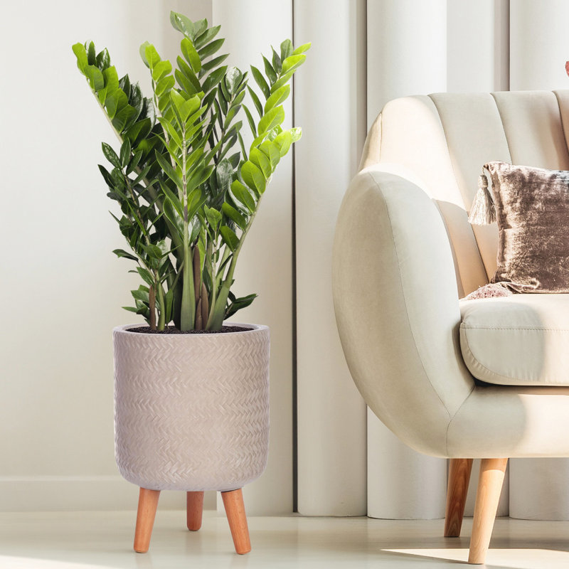 Plaited Style Cylinder Round Planter with Feet, Beige, 35cm H x 24cm W x 24cm D