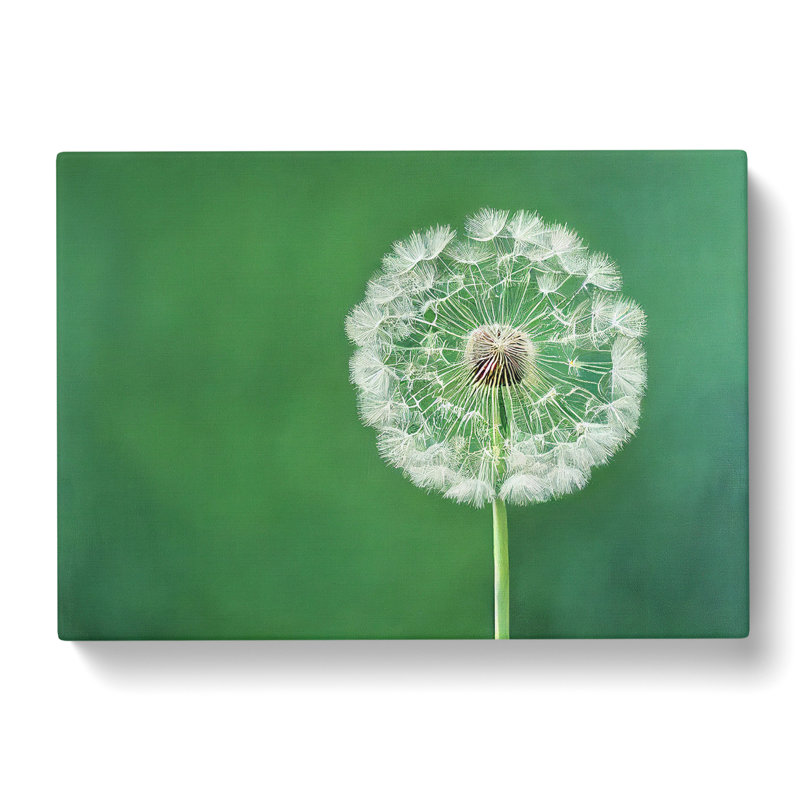 Excellent Dandelion Flower - Wrapped Canvas, 40cm H x 60cm W x 3cm D