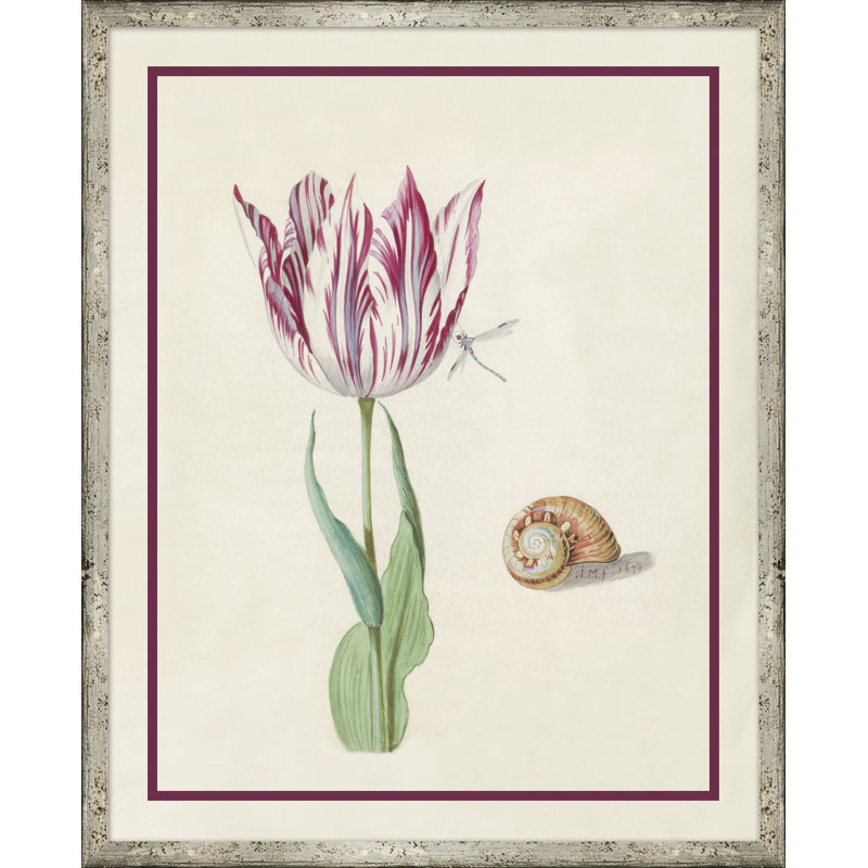 «Flower Seashell and Insect IV» - Peinture encadrée sur papier