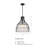 Aukerman 60 Watt 1-Light Bell Pendant with Etched Opal Glass Shade and Metal Outer Cage-718103943-718103937