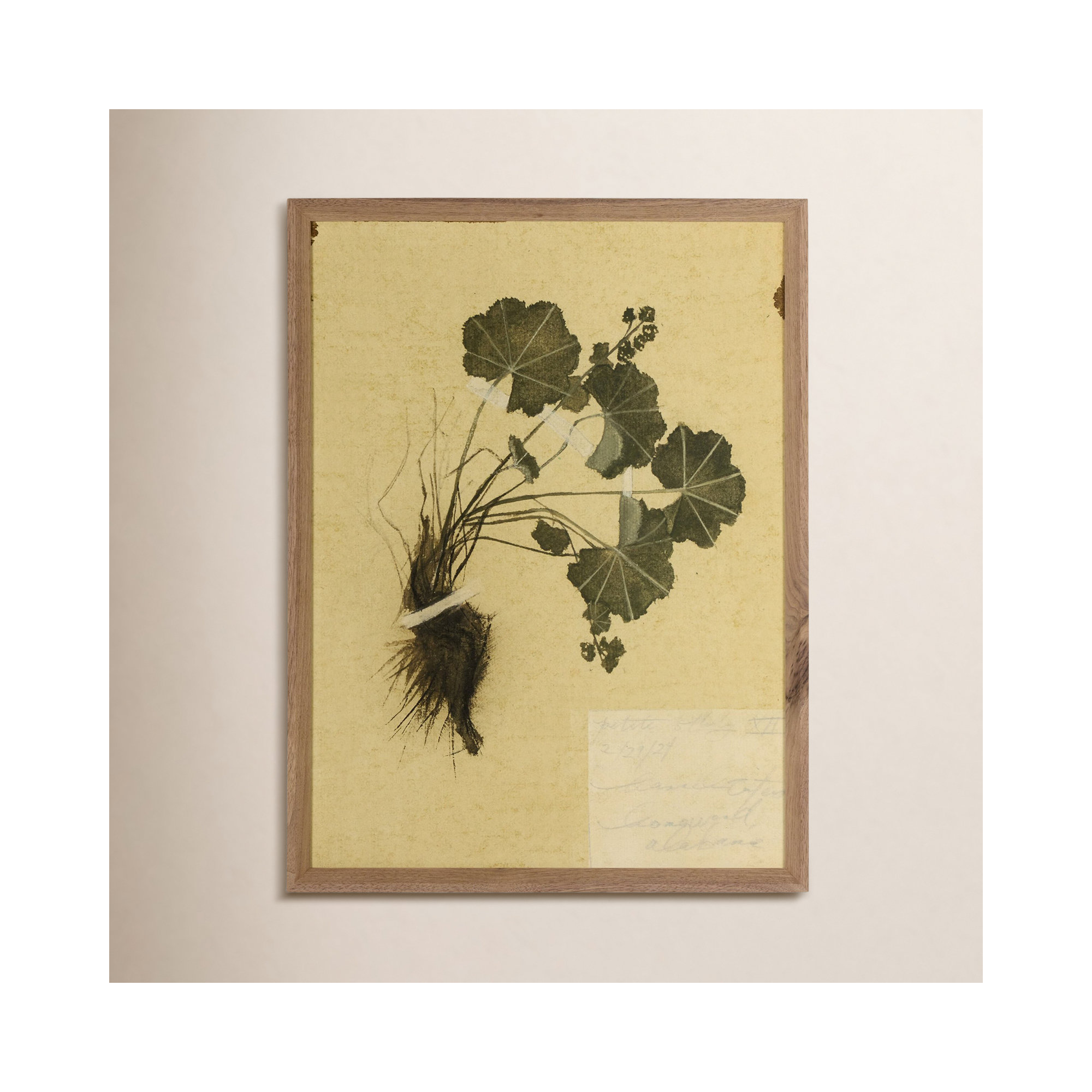 Petite Study No. V by Hannah Winters, 24" H x 18" W