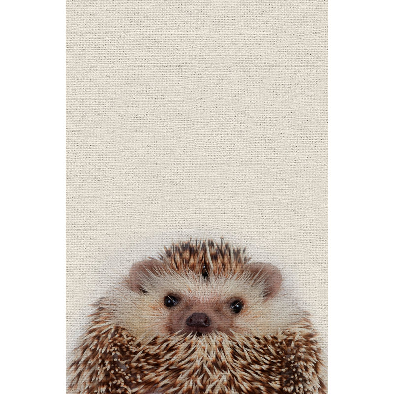 Cute Porcupine - Drawing on Canvas, 30cm H x 20cm W