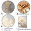 Fleur de dahlia beige minimaliste - reproduction sur toile-739319766-739319765