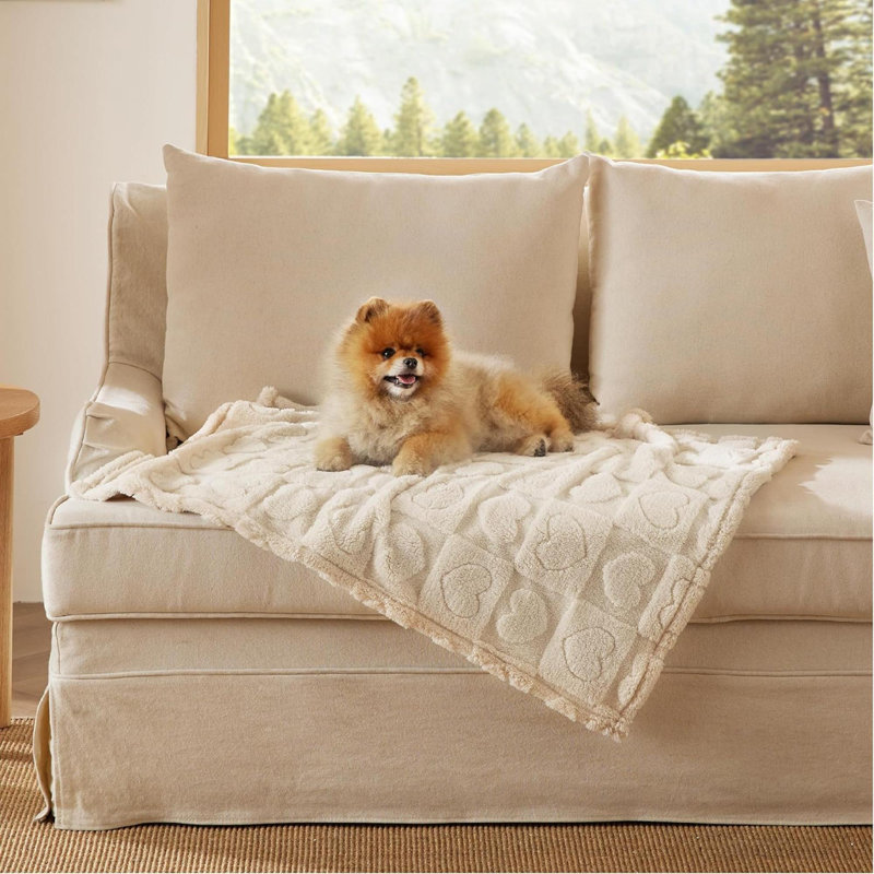 1 paquet de 3 couvertures pour petits chiens - 3 pièces douces et moelleuses pour chiot avec molleton corail 300 g / m² de qualité supérieure, couvertures pour chats douillets pour chats d'intérieur, couverture pour animal de compagnie pelucheux pour