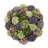Sedum and Succulents Arranged in Fiberstone Planter