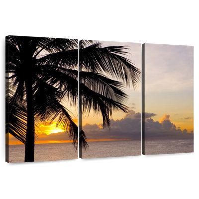 Barbados Coconut Tree