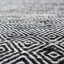 Black/White Outdoor/Indoor Rug