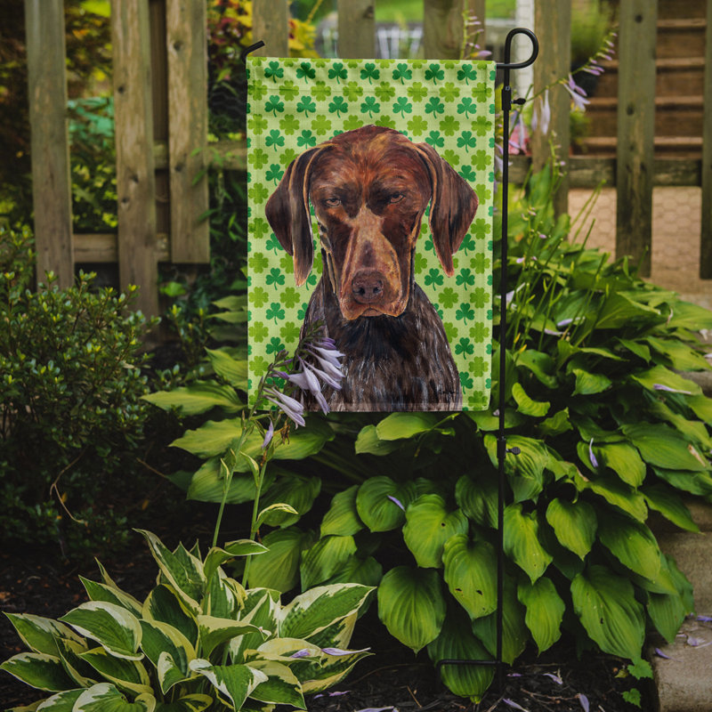 Drapeau de jardin à 2 côtés st. patrick day trèfle, Braque allemand à poil court