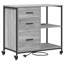 Storage Cabinet-1539117736