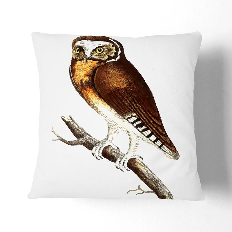 Double Fronted Owl by George Shaw Cushion with Filling, 40cm H x 40cm W x 15cm D