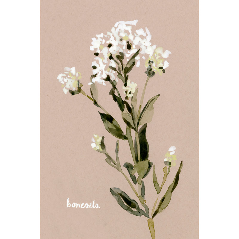 White Bonesets II by Emma Caroline - Painting, 30cm H x 20cm W, Wrapped Canvas