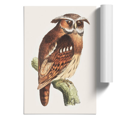 Owl On A Branch by Theo Van Hoytema - No Frame Painting