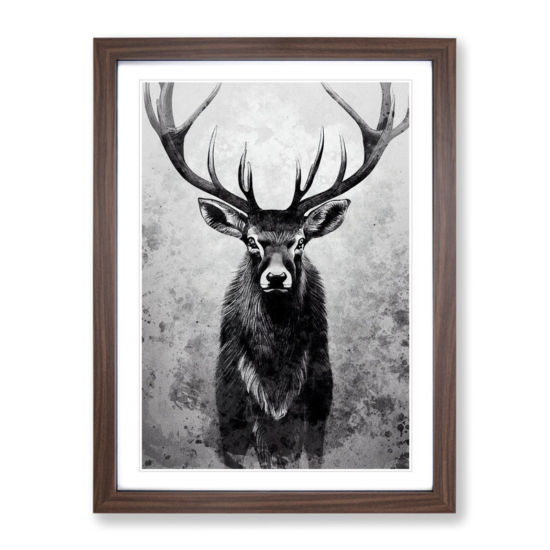 View Of The Stag No.2 - Single Picture Frame Print, 64cm H x 46cm W, Walnut