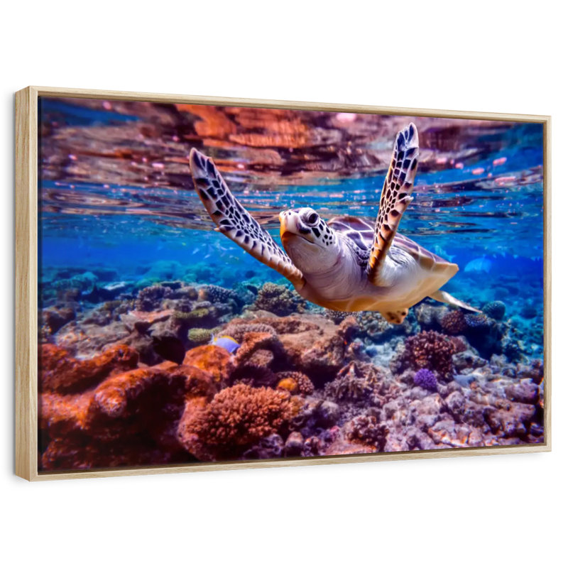 Tortue de mer sur un récif de corail, Cadre flottant en bois naturel, 37 po x 25 po