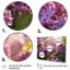 «Lilac mauve», impression sur toile-453410934-453410883