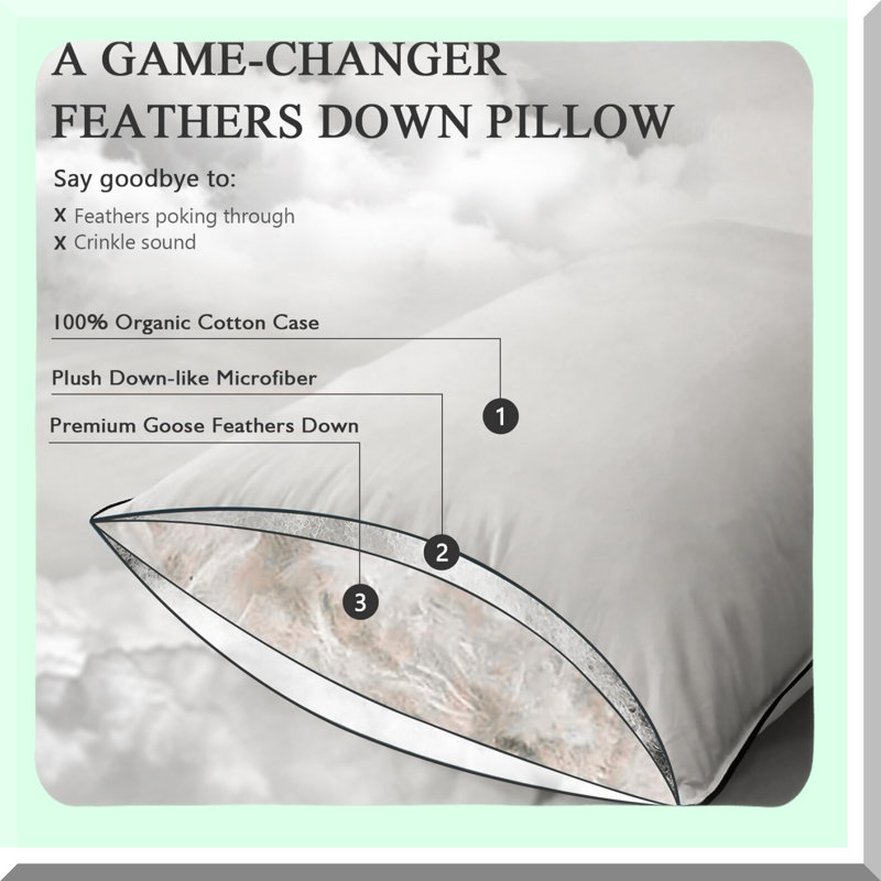Luxury Sleep Essentials Queen Pillow Set - 2 Pack Goose Down Pillows, Hotel-Style Cotton Inserts for Stomach and Back Sleepers, Soft Medium Support