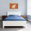 Animaux, grizzly, silhouette, signe rustique-1778800708-1778800704-1778800707