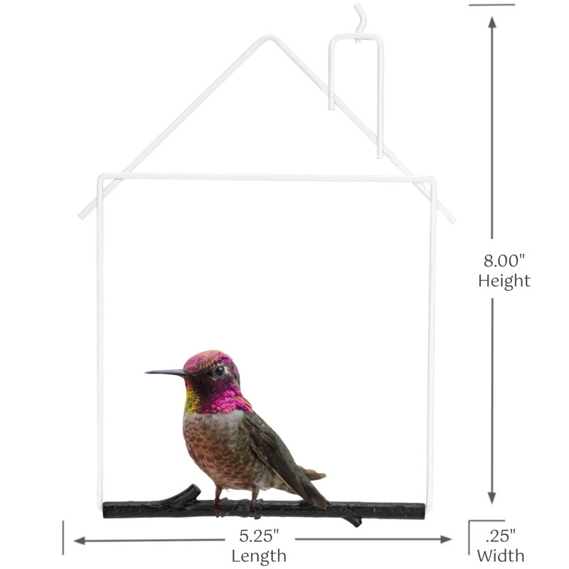 Balançoire colibri Woodring, maison blanche