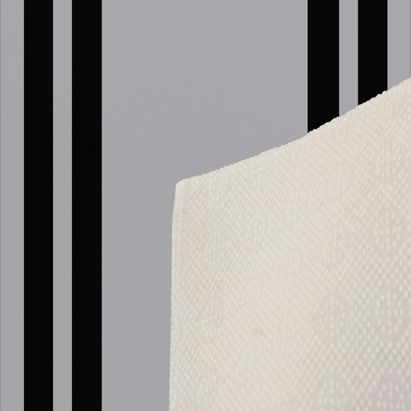 Stylish Hall Carpet (3.3 x 6.6 ft), 100% Polyester, 0.3 in Pile Height | Antibacterial, Non-Slip PVC Felt Dot Underside | Machine Washable, 3D Digital Print, Durable & Easy to Clean | Perfect for Entryway & Living Areas