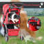 Collapsible Pet Carrier-251882349