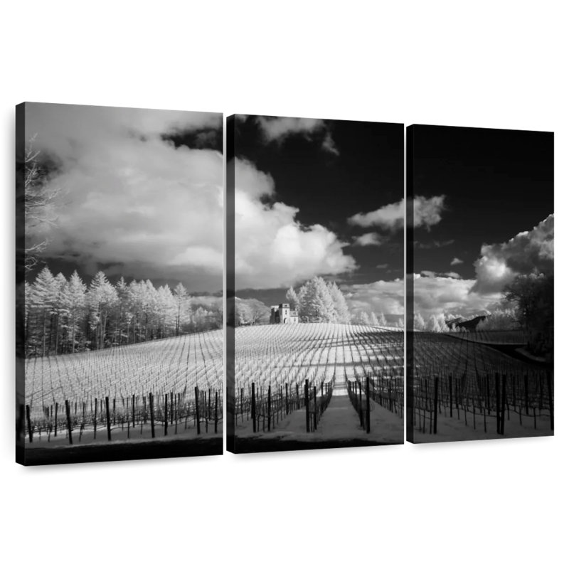 Alvord Terra Valentine Winery, H 20 po x l 33 po