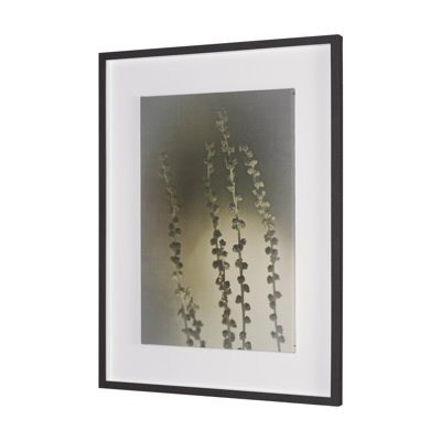 Hanging Delight By Michael Banks A Hand Embellished Framed Art Print Matted Under Glass