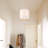 Miloh 3-Light Modern Large Cylinder Island Pendant Light