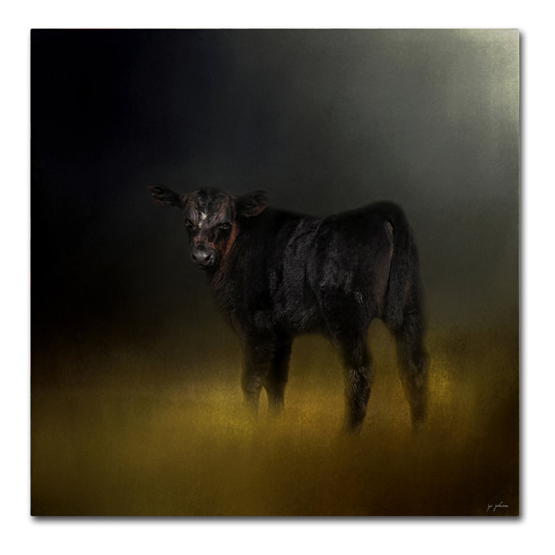 «Black Angus Calf in the Moonlight», reproduction d'art graphique sur toile tendue Vidur, H 14 po x l 14 po