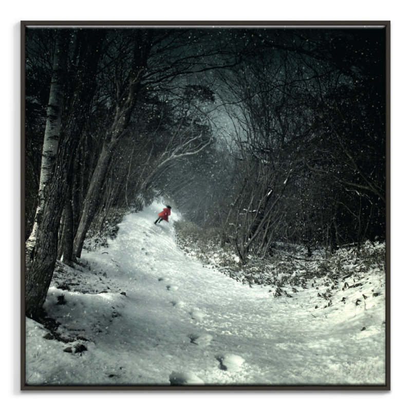 Print on Canvas, Black, 61cm H x 61cm W