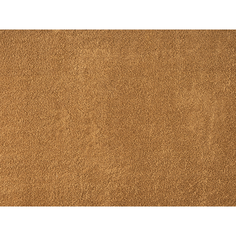 Taeler Washable Modern Living Room Rug Polyester Plain Indoor Area Rug with Low Pile - Anti-Slip Felt Backing Carpet Bedroom-Hallway, Gold