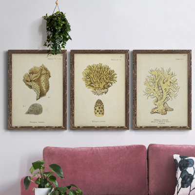 Écru corail VII - ensemble de 3 peintures sur toile encadrées