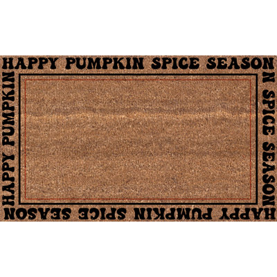 Ezelle Non-Slip Outdoor Doormat