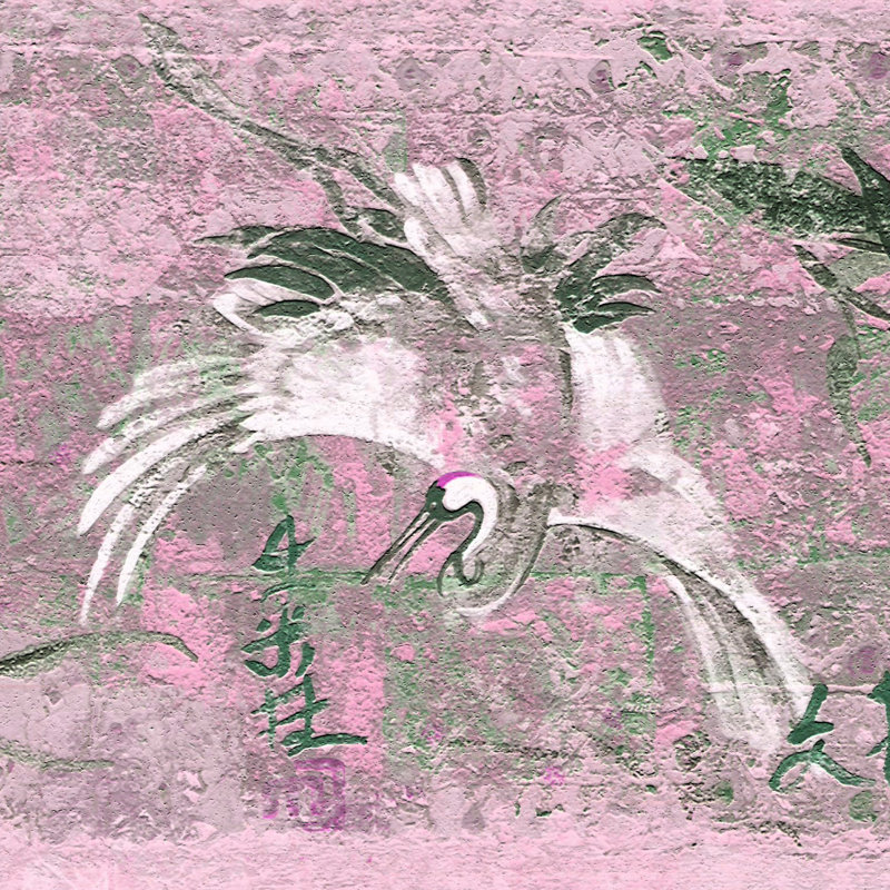 Bordure de papier peint à peindre L 15 pi x l 7 po Birds