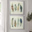 Shiplap Feathers I - Ensemble de 2 reproductions d'art-668167153-668167159-668167163