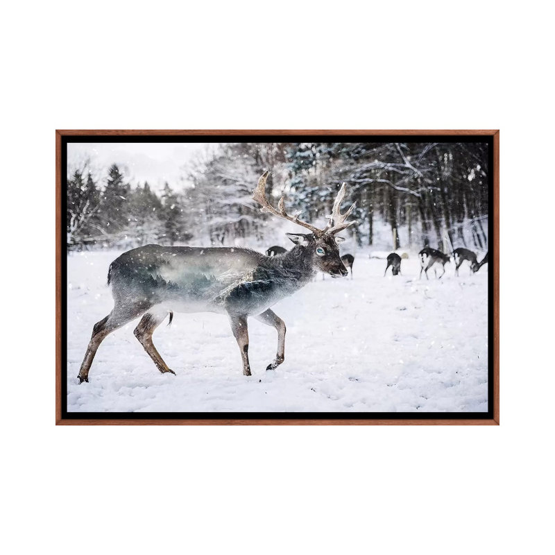 Winter Deer II by Paul Haag - Print on Canvas, Classic Brown Wood Framed, 66.04 cm H x 45.72 cm W