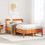Storage Bed-370410349-370410341