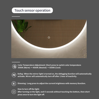 Rhonda 36 in. W x 36 in. H Frameless LED Bathroom Vanity Mirror with Color Changer, Dimmer and Defogger