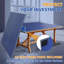 Plateau de table de tennis de table pliable et portatif de taille moyenne 8 pieds bleu pour jeux d'intérieur-121198722-121198723