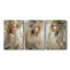 Feminine Series XL -Set Of 3 Gallery Wrapped Canvas -Ready to Hang-107312179