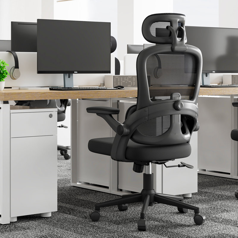 Ergonomic Mesh Office Chair with Adjustable Lumbar Support and Padded Armrests, for 5'3" to 6'6"