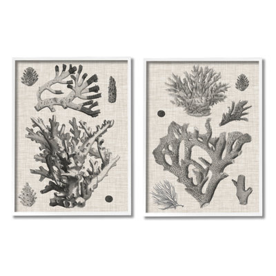 Stupell Industries Vintage Coral Study 2 Piece Canvas Wall Art Set Design by Vision Studio -  a2-581_cn_2pc_24x30