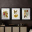 Exotic Botanicals I - Impression personnalisée de qualité supérieure avec cadre mat - 3 pièces-1043290662