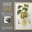 Vintage Pears III - reproduction encadrée de qualité supérieure - prête à être accrochée - aucun clou requis - aucun clou requis-1842367163-1842367161