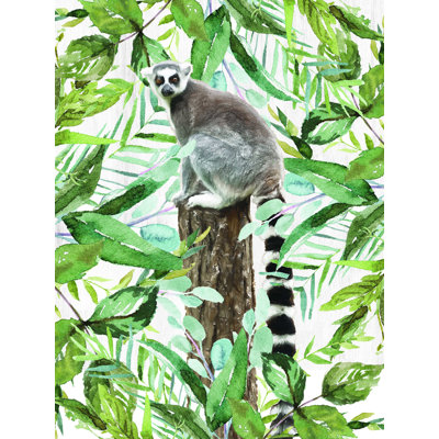 Hiding Lemur