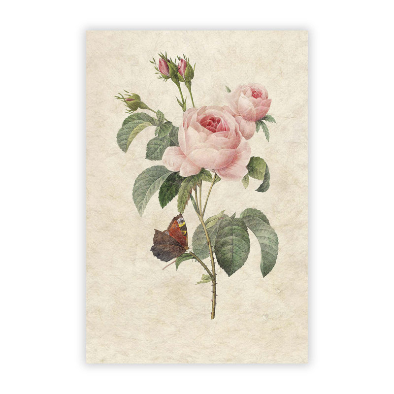 Butterfly & Pink Rose by Pierre Joseph Redoute - Frameless Print, 29.7 cm H x 21 cm W