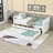 Twin Daybed with Drawers and Twin Trundle-1105690243