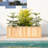 Barros Solid Cedar Rectangular Planter Box with Drainage Holes-2102626844-2088857656
