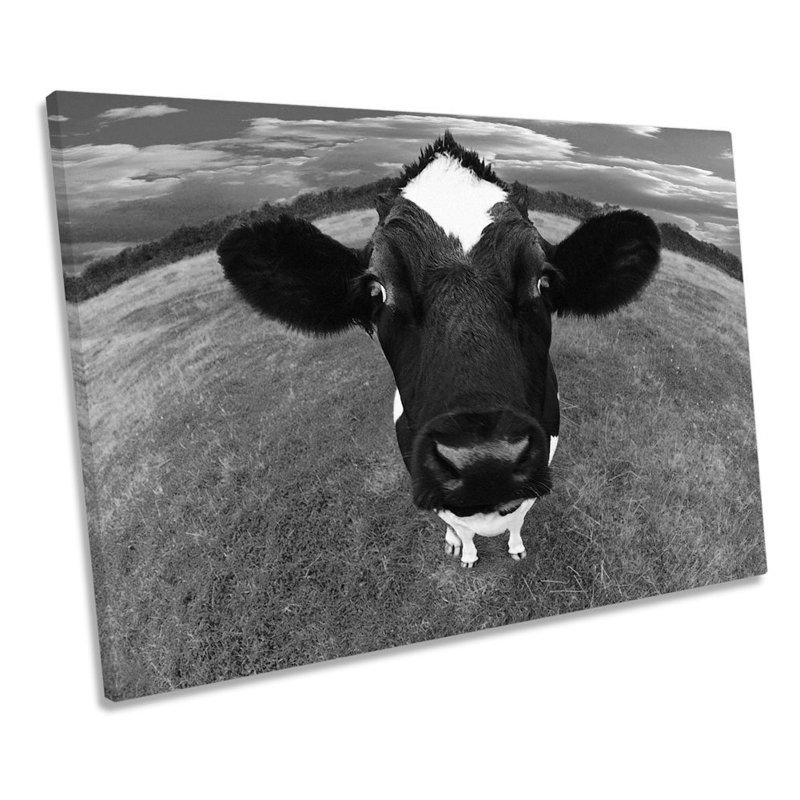 Cow Face Farm Funky B&W - Wrapped Canvas Print, 50.8cm H x 76.2cm W